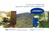 Controlling pest tree invaders - Tasman District