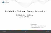 Reliability, Risk and Energy Diversity