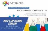 CHEMICALS & PHARMACEUTICAL INDUSTRIAL CHEMICALS