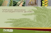 Wheat disease management guide