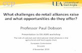 What challenges do retail alliances raise and what ...