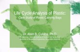 Life Cycle Analysis of Plastic