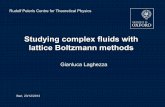 Studying complex fluids with lattice Boltzmann methods