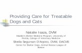 Providing Care for Treatable Dogs and Cats