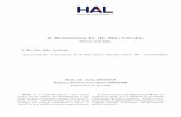 A Bisimulation for the Blue Calculus - HAL