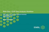 RNA-Seq / ChIP-Seq Analysis Workflow
