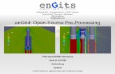 enGrid: Open-Source Pre-Processing