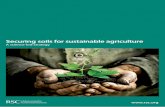 Securing soils for sustainable agriculture: a science-led strategy