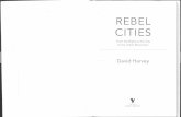 REBEL CITIES - Corner College