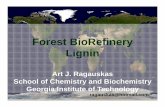Forest Biorefinery Lignin - Part I - Georgia Institute of Technology