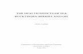 the health effects of sea buckthorn berries and oil - Doria