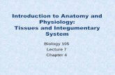Introduction to Anatomy and Physiology - Napa Valley College
