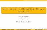 Main Problems in the Representation Theory of Finite Groups
