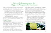 MF2622 Insect Management for Organic Vegetable Gardens