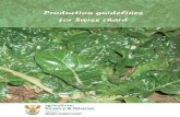 Production guidelines: Swiss chard - Department of Agriculture