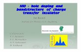 NiO - hole doping and bandstructure of charge transfer insulator