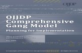 OJJDP Comprehensive Gang Model: Planning for Implementation