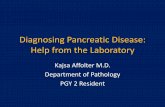 Diagnosing Pancreatic Disease - ARUP Scientific Resource for