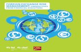 foreign exchange risk management: perspectives - FEI Canada