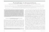 Autophagy in Dictyostelium - CSIC