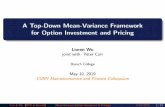 A Top-Down Mean-Variance Framework for Option Investment ...