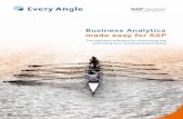 Business Analytics made easy for SAP - Every Angle