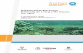 Biodiversity and ecology of the Ningaloo Reef