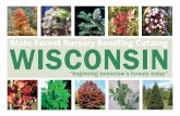 State Forest Nursery Seedling Catalog - Wisconsin Department of