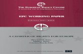 the charter of fundamental rights - European Policy Centre