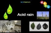 Acid rain - Artigianelli