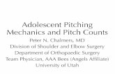Adolescent Pitching Mechanics and Pitch Counts