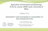 BIODIVERSITY AND SUSTAINABILITY ASSESSMENT OF RICE ...