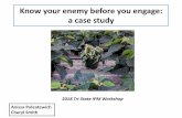 Know your enemy before you engage: a case study