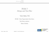 Module 5 Strings and Text Files