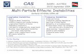 Multi-Particle Effects: Instabilities