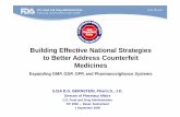 Building Effective National Strategies to Better Address