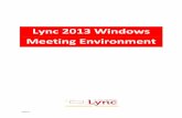 Lync 2013 Windows Meeting Environment