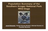 Population Summary of the Southern Kruger National Park Wild Dogs