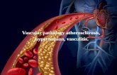 Vascular pathology atherosclerosis, hypertension, vasculitis.