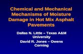 Chemical and Mechanical Mechanisms of Moisture Damage in Hot