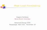 Peak Load Forecasting - AERTC