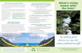 Hawai`i's Polluted Runoff Brochure - Hawaii Department of Health