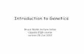 Introduction to Genetics - Bruce Walsh's Home Page