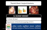 Thyroid Gland- Surgical Anatomy - AIIMS, Rishikesh
