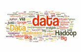 Data Science, Big Data and Analytics: Present and Future