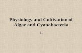 Physiology and Cultivation of Algae and Cyanobacteria
