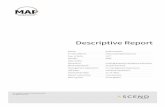 Descriptive Report - Assessio