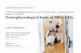 Neurophysiological basis of MEG/EEG