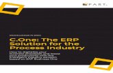 DIGITALIZATION IN SMES C.One: The ERP Solution for the ...