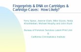 Fingerprints & DNA on Cartridges & Cartridge Cases